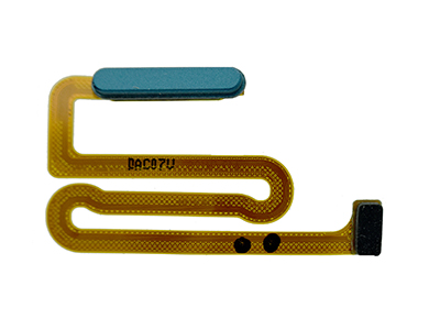 Samsung SM-A125 Galaxy A12 - Flat cable + Lettore Impronta Blu Disassembly
